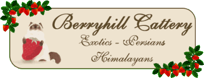 berryhill cattery banner