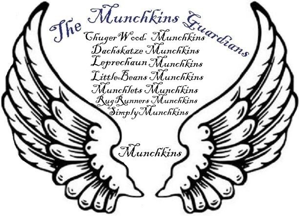 munchkin guardians logo