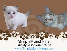 Simply Munchkins banner